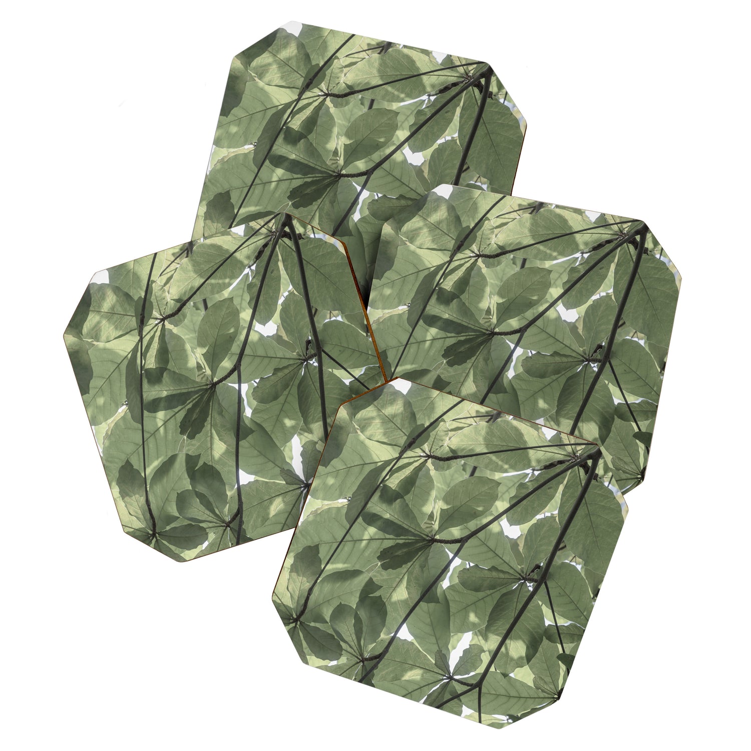Sage green botanical art print - soft green leaves - nature and travel photography Coaster Gallery Image 1