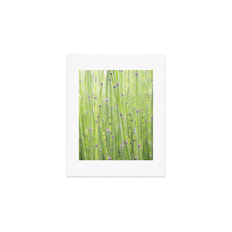 Spring green bamboo - abstract natural plant pattern - botanical photography Art Print Gallery Image 1