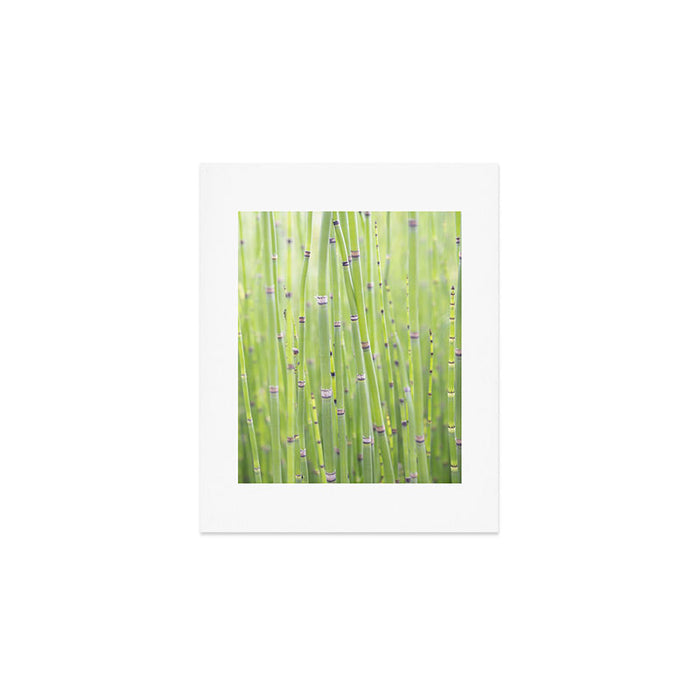 Spring green bamboo - abstract natural plant pattern - botanical photography Art Print Gallery Image 1
