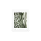 Yucca leaves pattern in sage green   Summer nature and travel photography Art Print Gallery Image 1