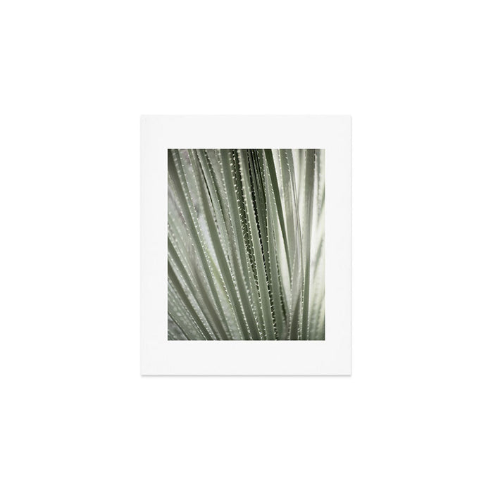 Yucca leaves pattern in sage green   Summer nature and travel photography Art Print Gallery Image 1