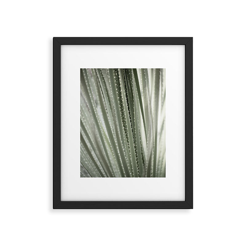 Yucca leaves pattern in sage green   Summer nature and travel photography Framed Art Print Gallery Image 5