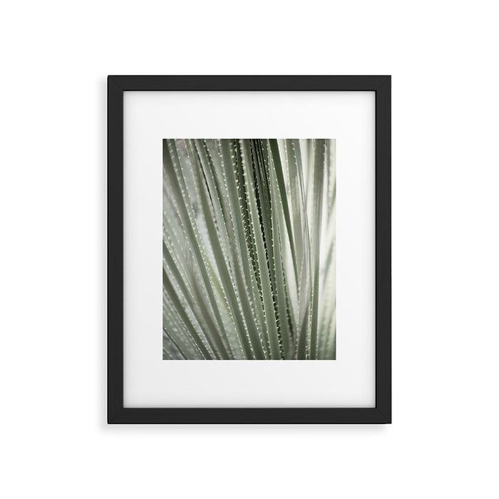Yucca leaves pattern in sage green   Summer nature and travel photography Framed Art Print Gallery Image 1