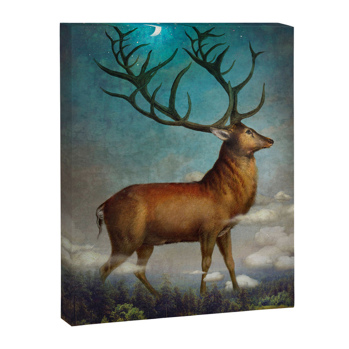 King of the Night Canvas Print Gallery Image 1