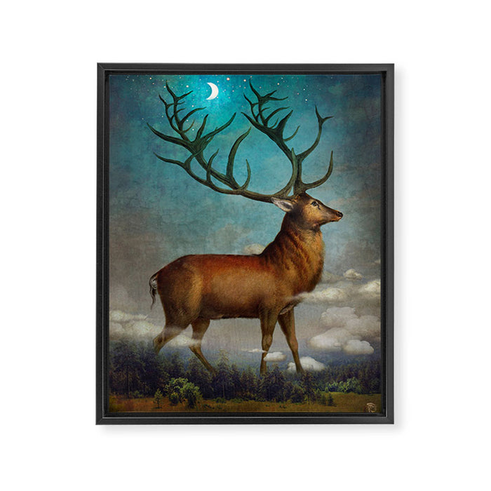 King of the Night Framed Canvas Print Gallery Image 1