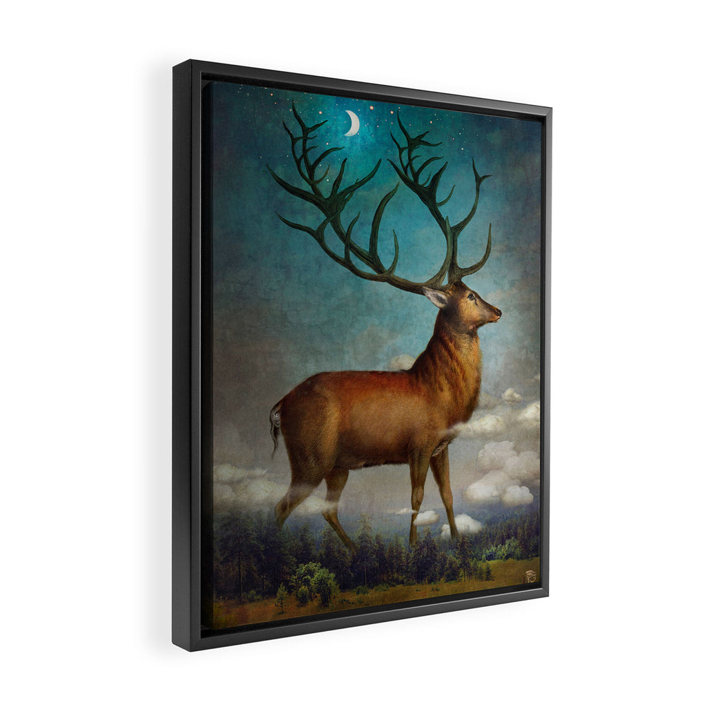 King of the Night Framed Canvas Print Gallery Image 2