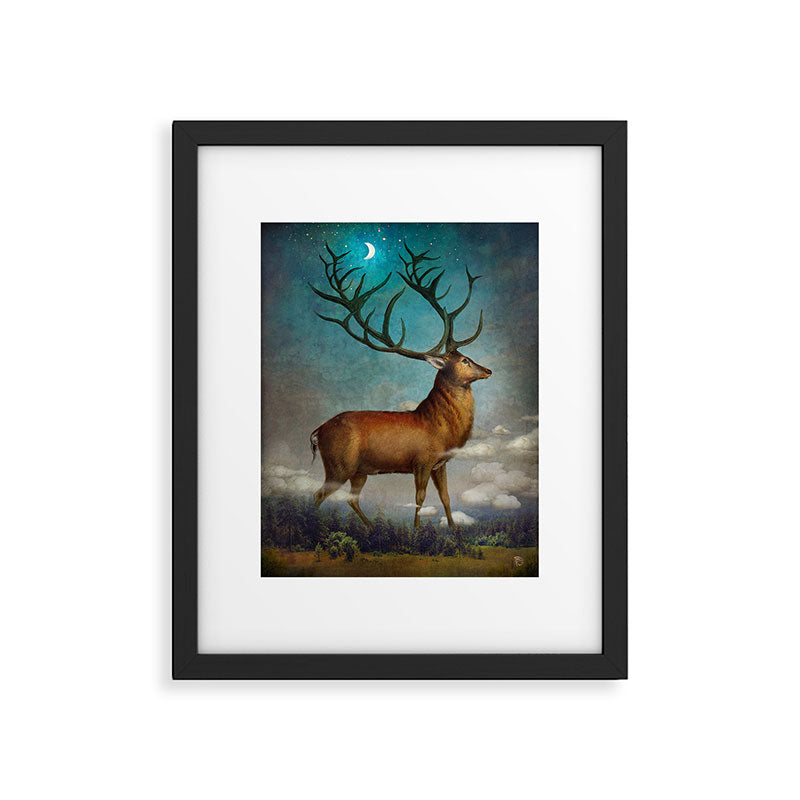 King of the Night Framed Art Print Gallery Image 5
