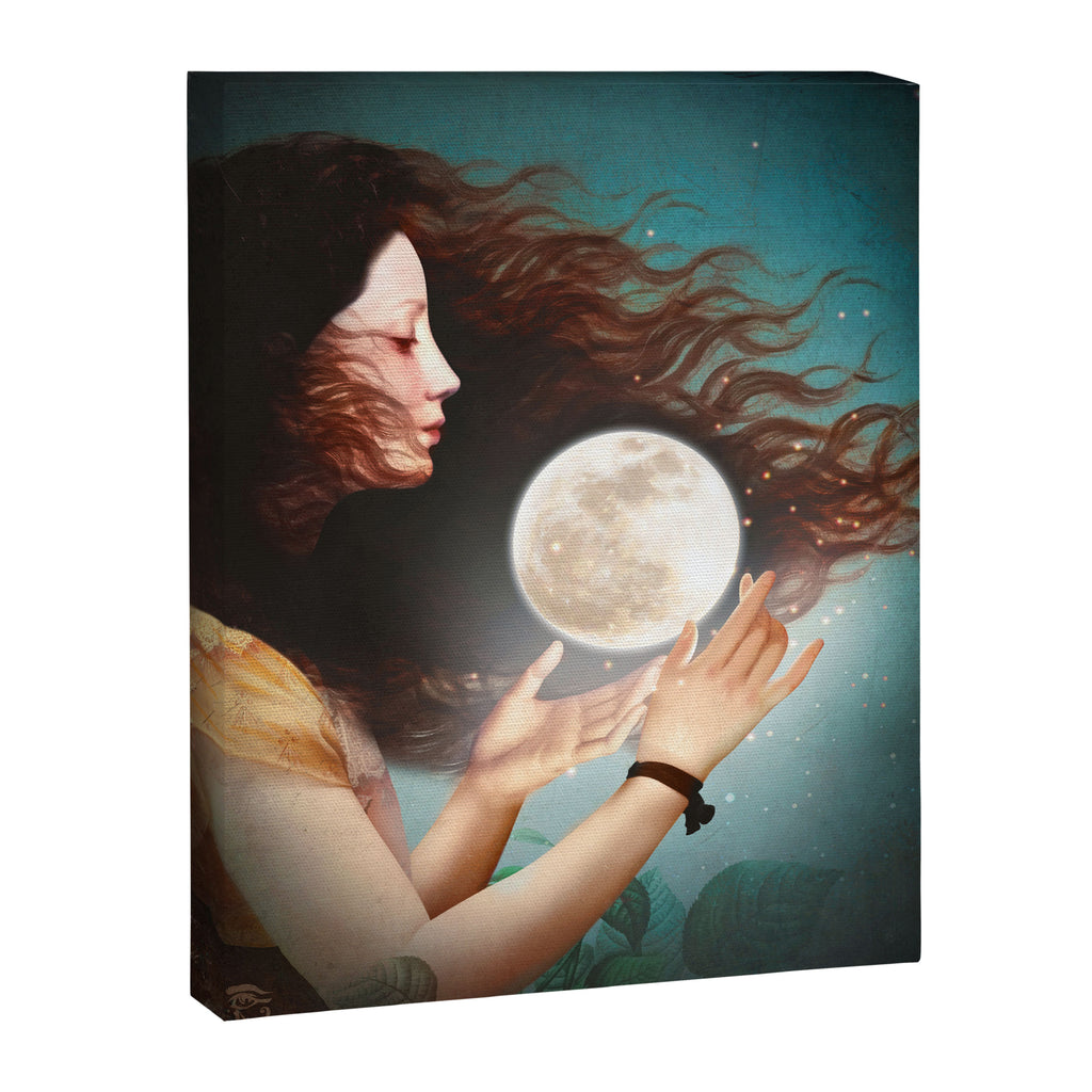 Meet the Moon Canvas Print Gallery Image 6