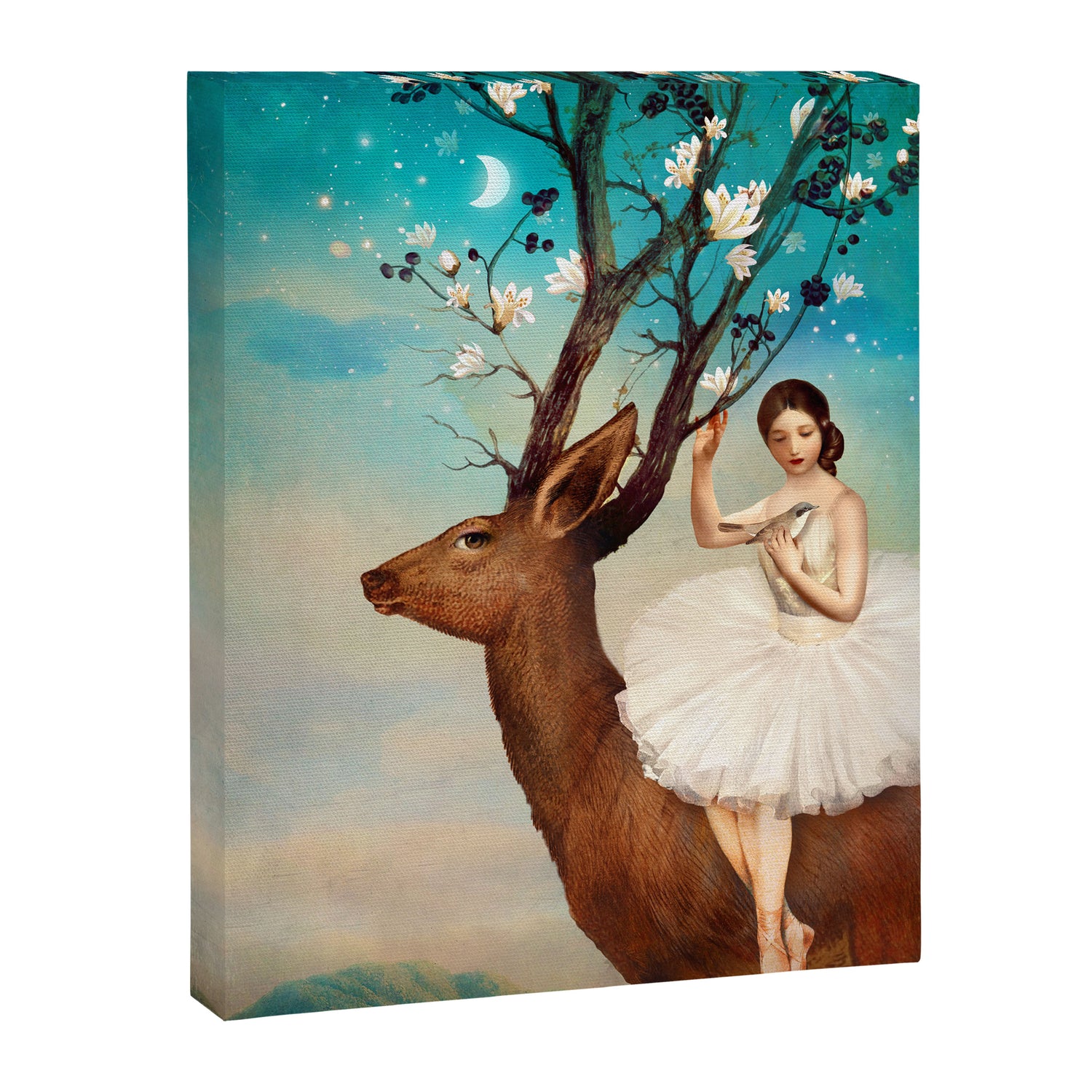 The Wandering Forest Canvas Print Gallery Image 6