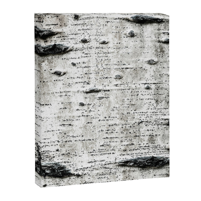 Aspen Tree Grand Teton National Park Canvas Print Gallery Image 1
