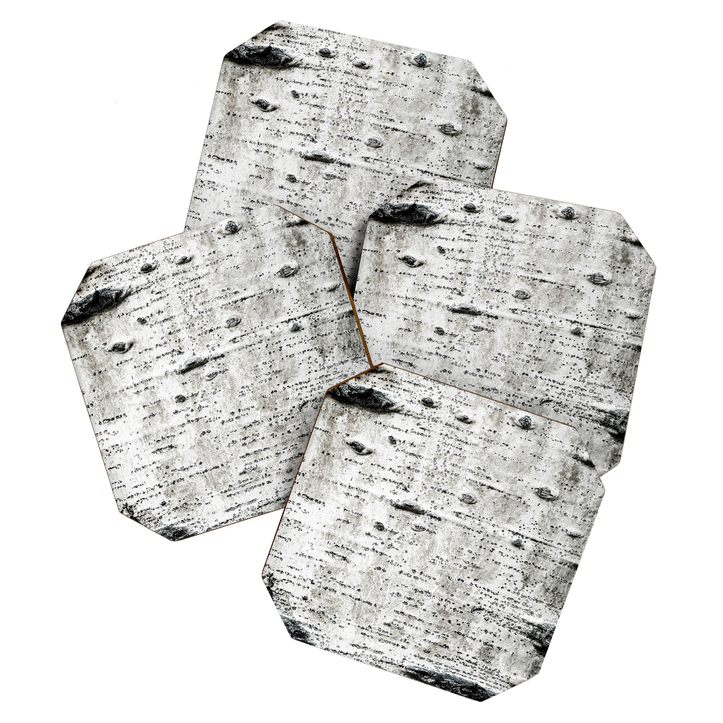 Aspen Tree Grand Teton National Park Coaster Gallery Image 1