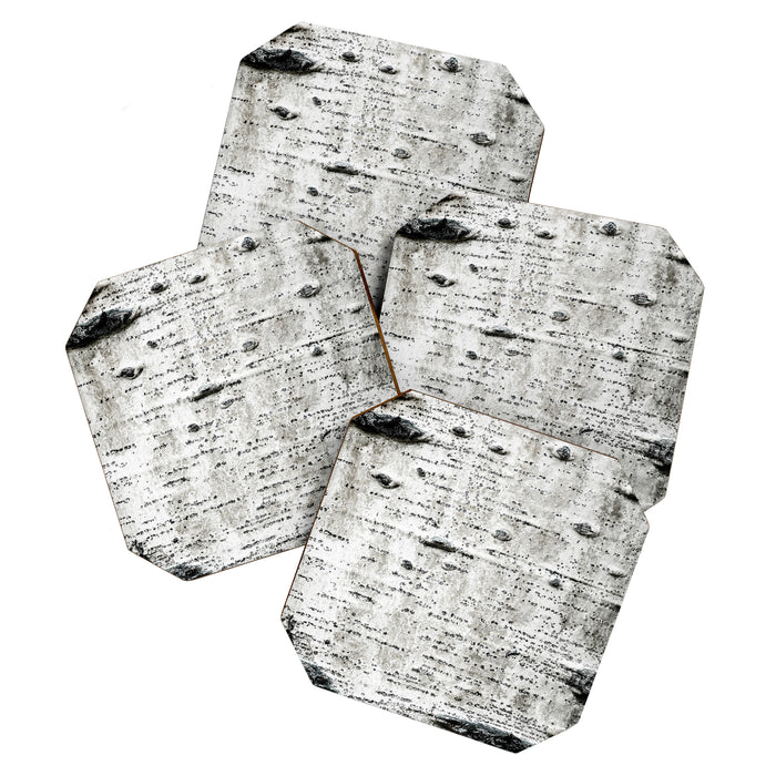 Aspen Tree Grand Teton National Park Coaster Gallery Image 1