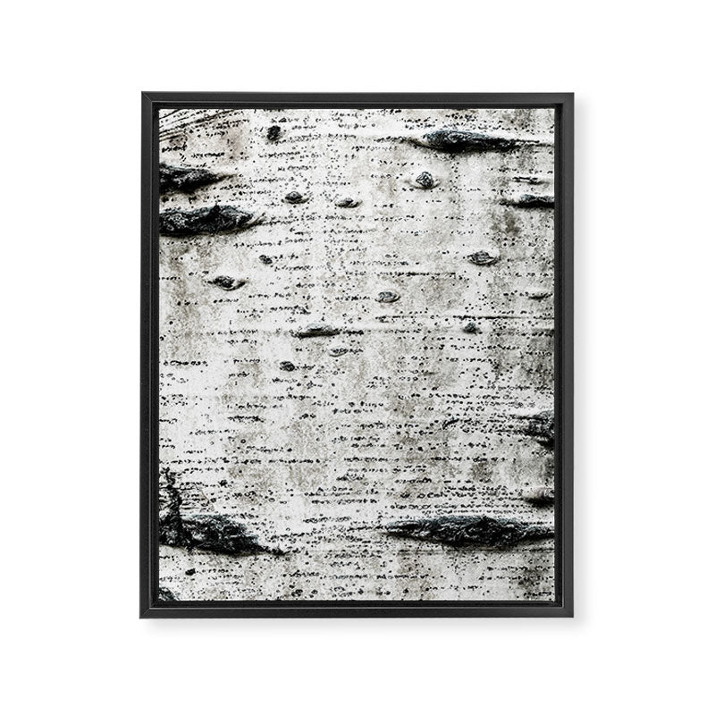 Aspen Tree Grand Teton National Park Framed Canvas Print Gallery Image 6