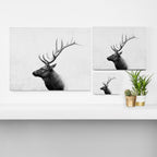 Bull Elk  Black and White Wildlife Photography Canvas Print Gallery Image 3