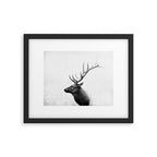 Bull Elk  Black and White Wildlife Photography Framed Art Print Gallery Image 6