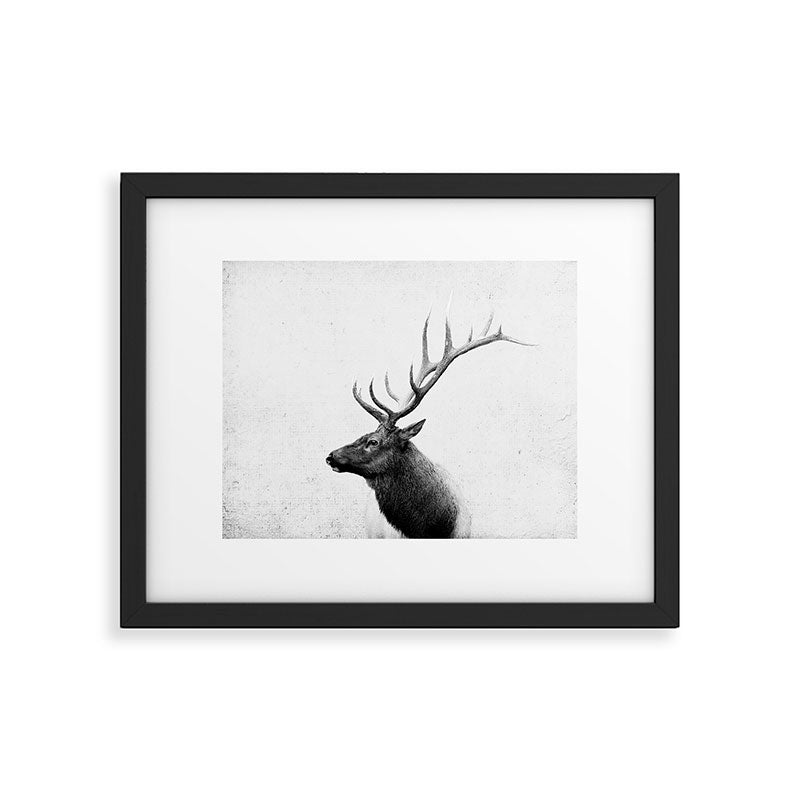 Bull Elk  Black and White Wildlife Photography Framed Art Print Gallery Image 6