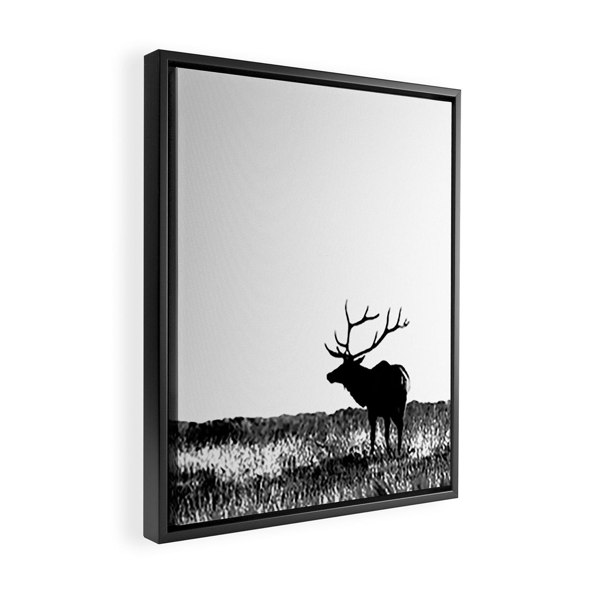 Elk Silhouette  Black and White  Framed Canvas Print Gallery Image 2