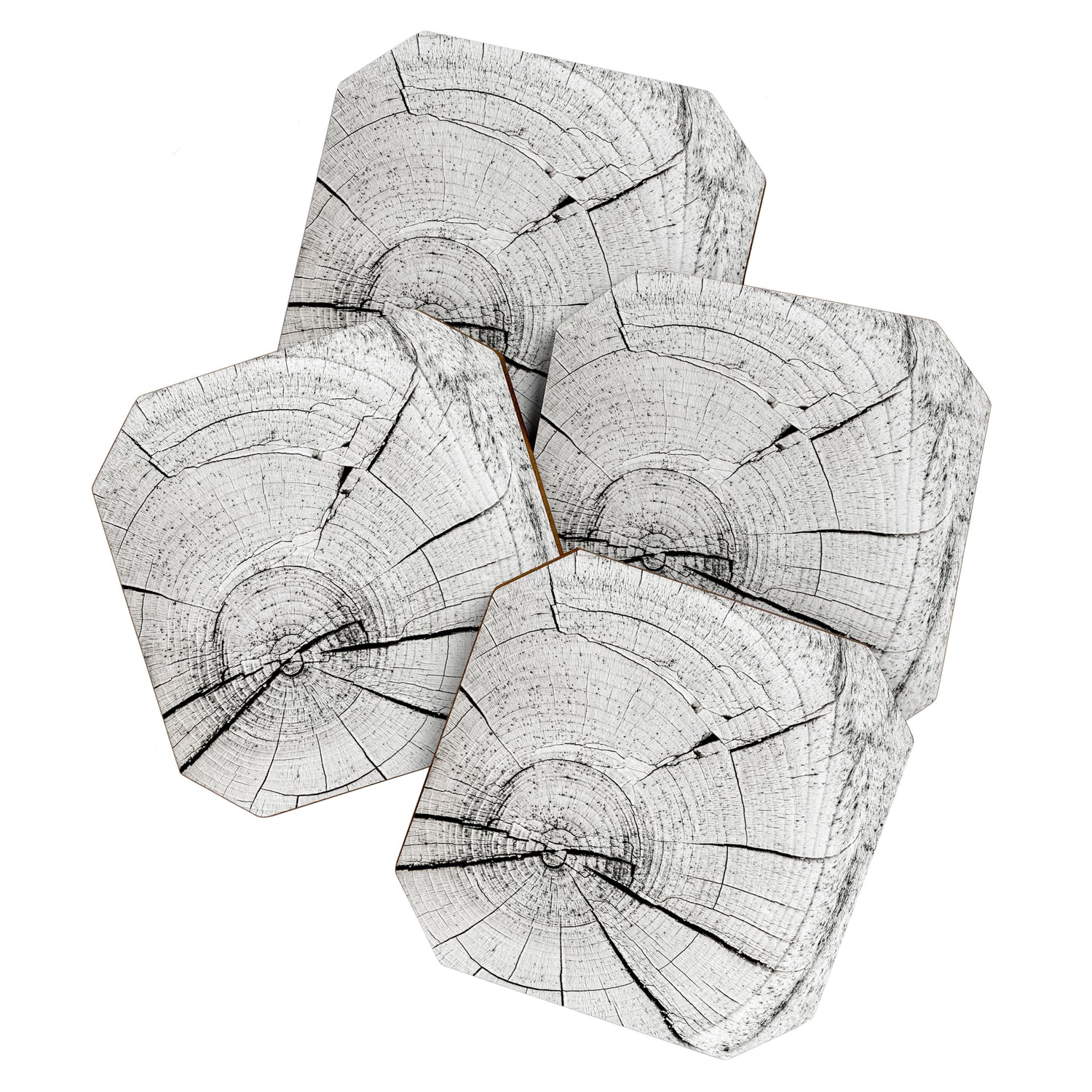 Knot Today Coaster Gallery Image 1