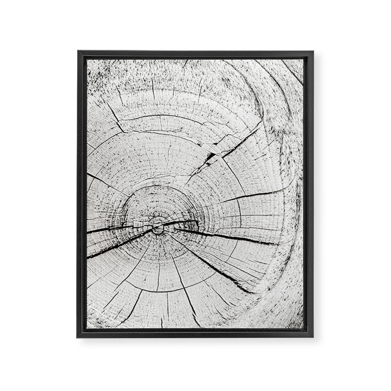 Knot Today Framed Canvas Print Gallery Image 6