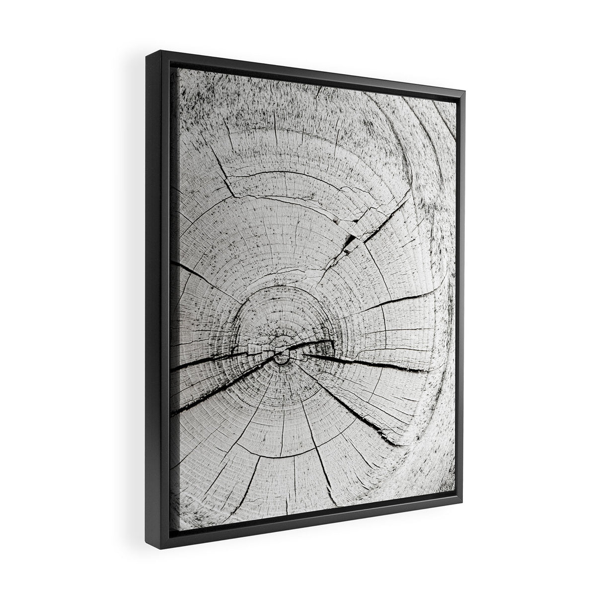 Knot Today Framed Canvas Print Gallery Image 2