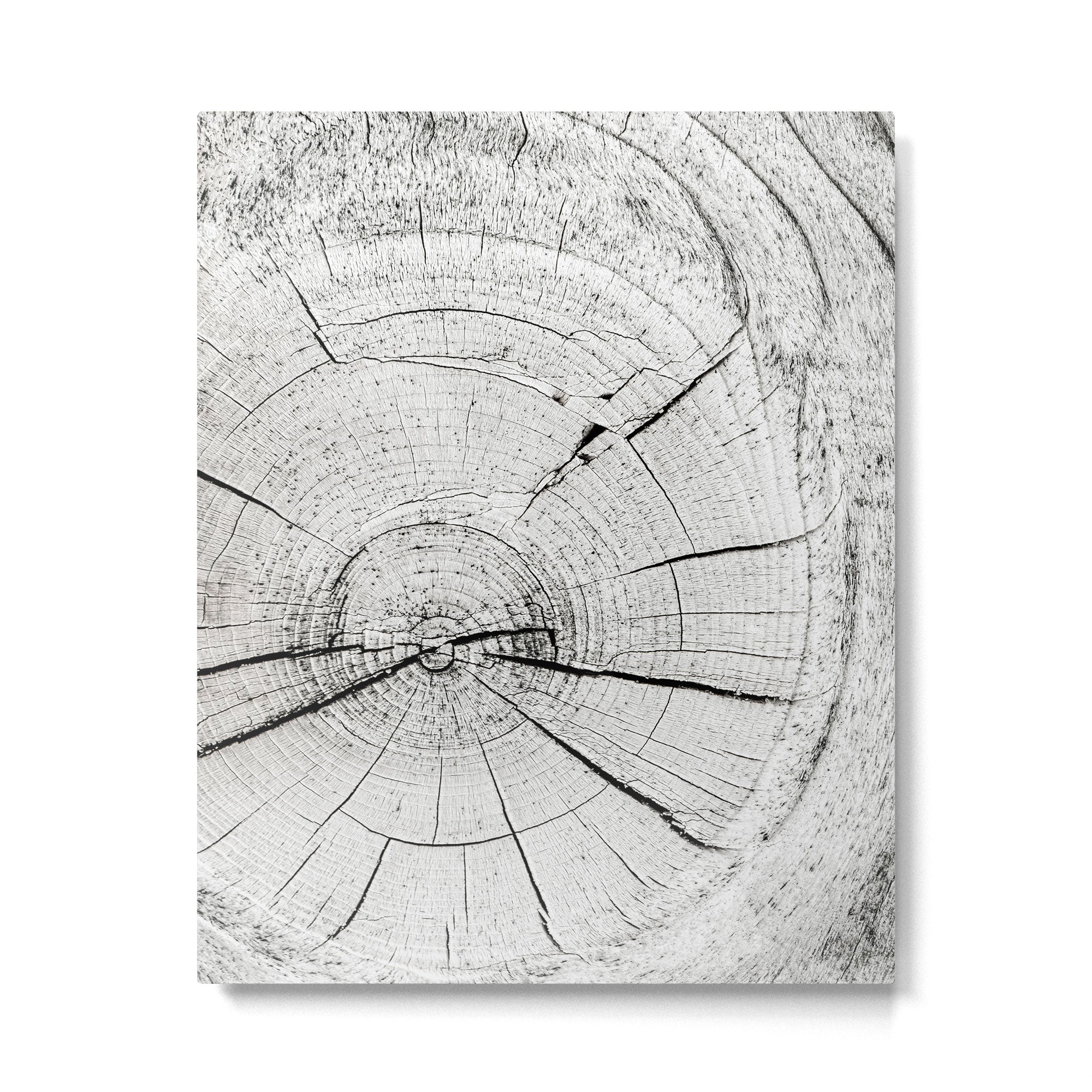 Knot Today Metal Print Gallery Image 4