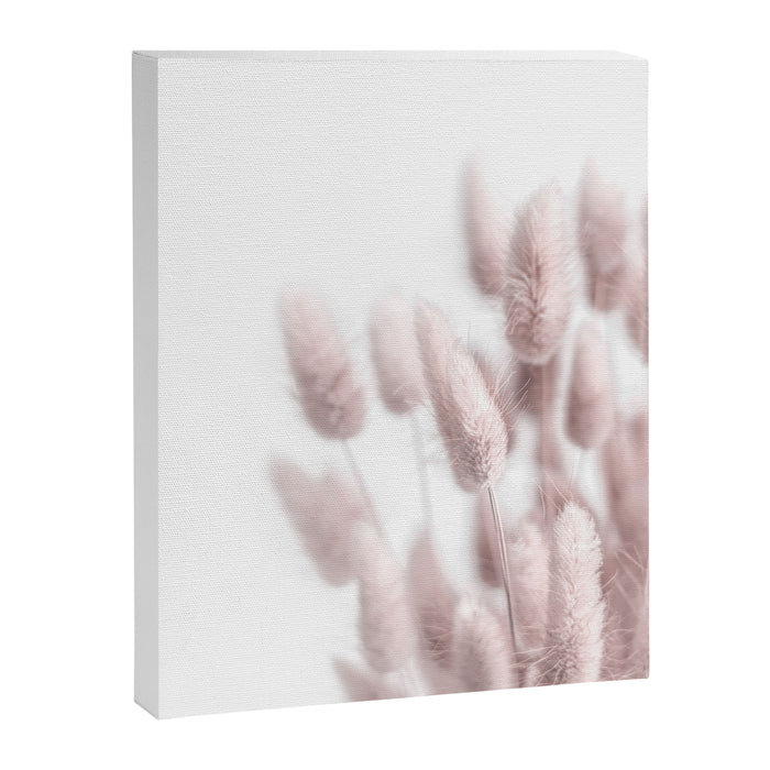 Pink Bunny Tails Canvas Print Gallery Image 1