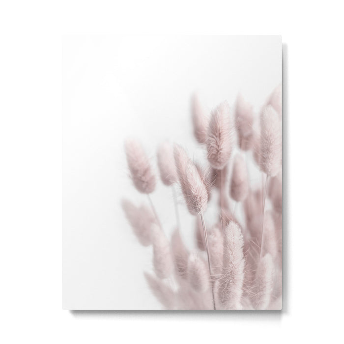 Pink Bunny Tails Metal Print Gallery Image 1
