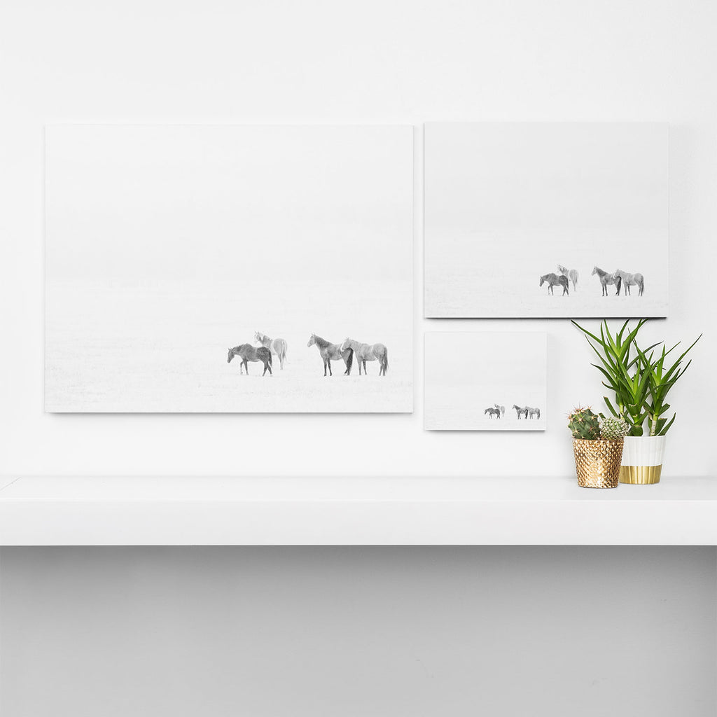 Snow Angels - Winter Horse Photography Canvas Print Gallery Image 3