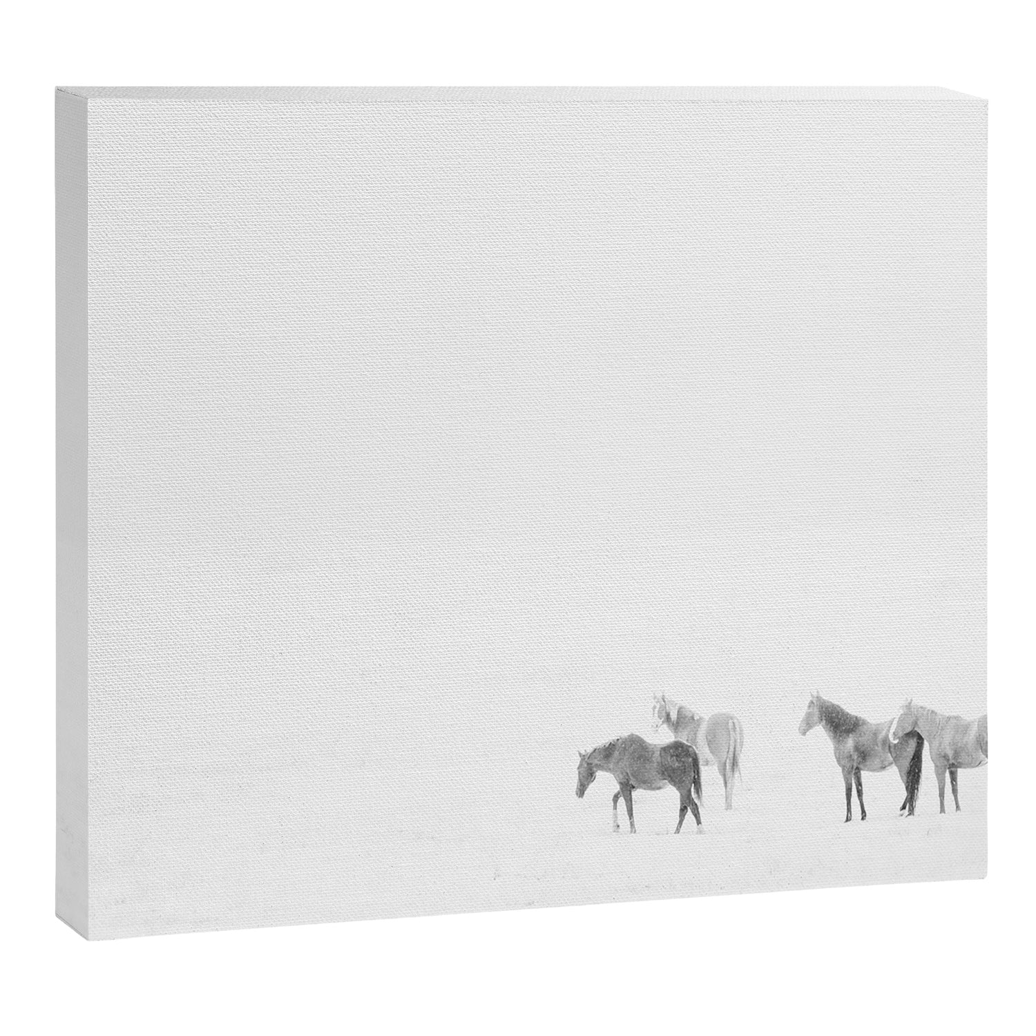 Snow Angels - Winter Horse Photography Canvas Print Gallery Image 3