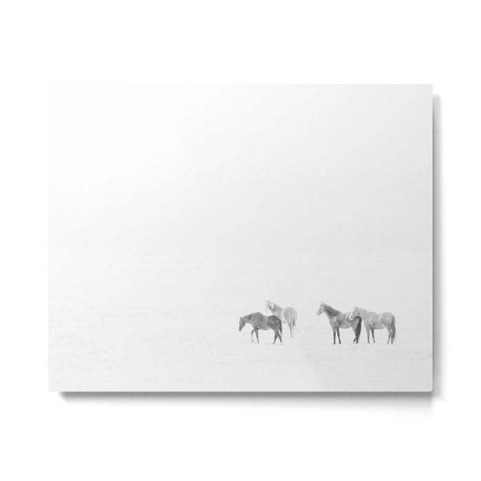Snow Angels - Winter Horse Photography Metal Print Gallery Image 1