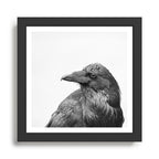 THE RAVEN Framed Art Print Gallery Image 1