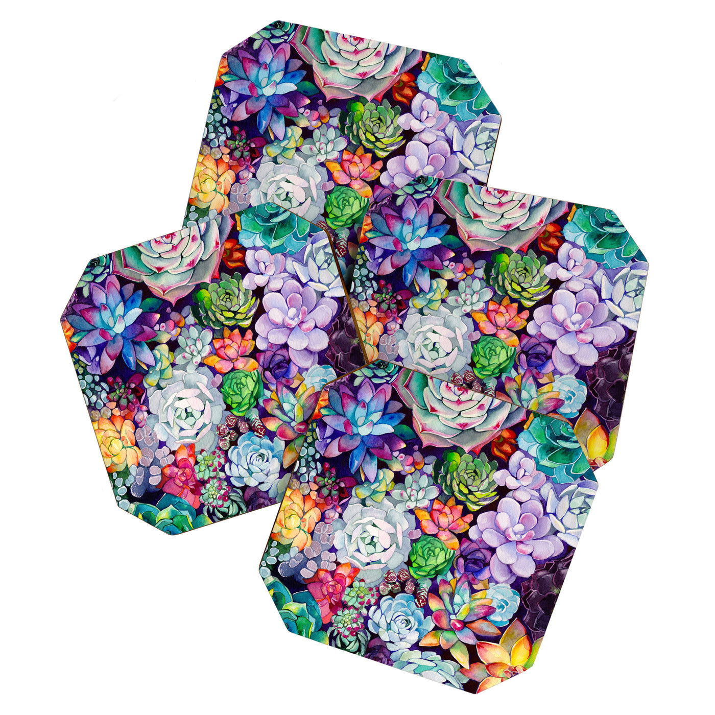 Succulent Garden Coaster
