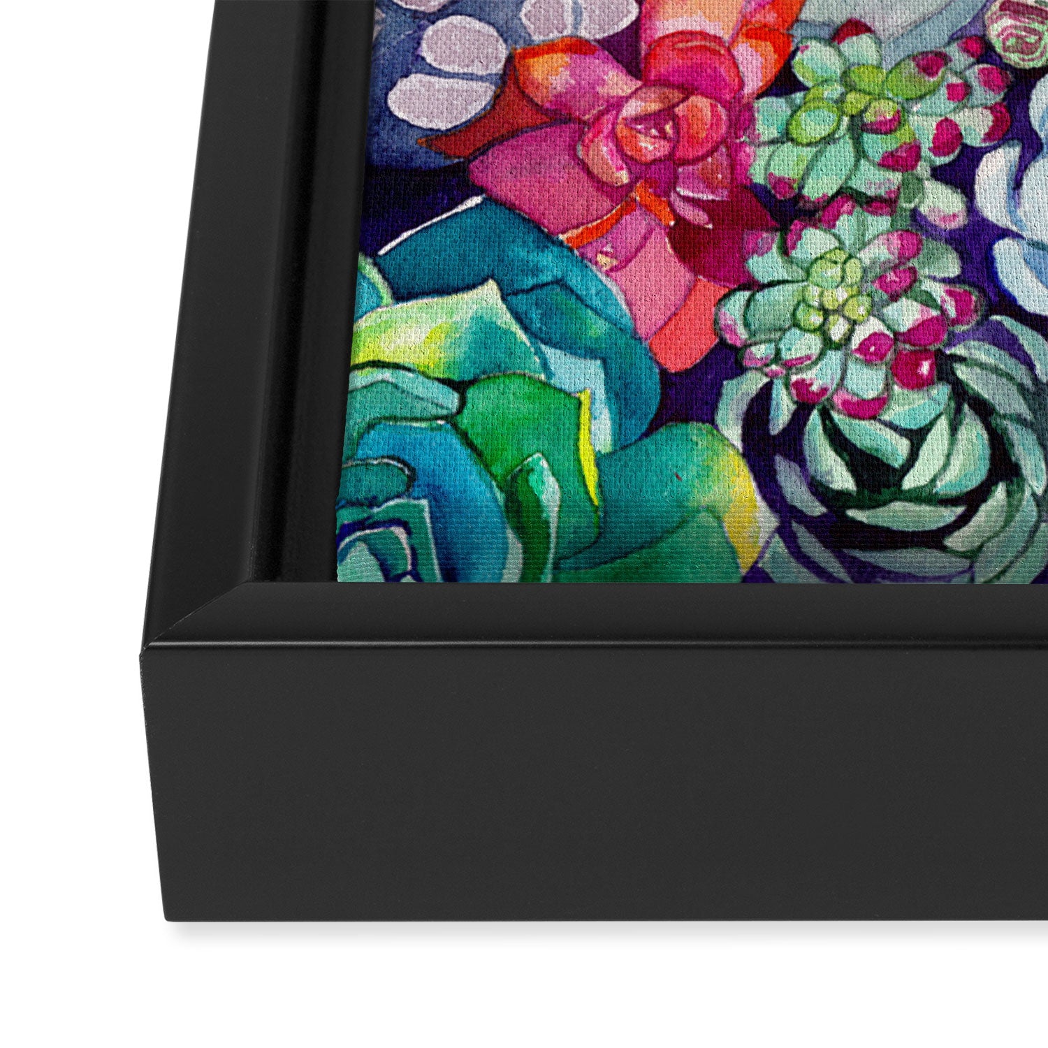 Succulent Garden Framed Canvas Print Gallery Image 3