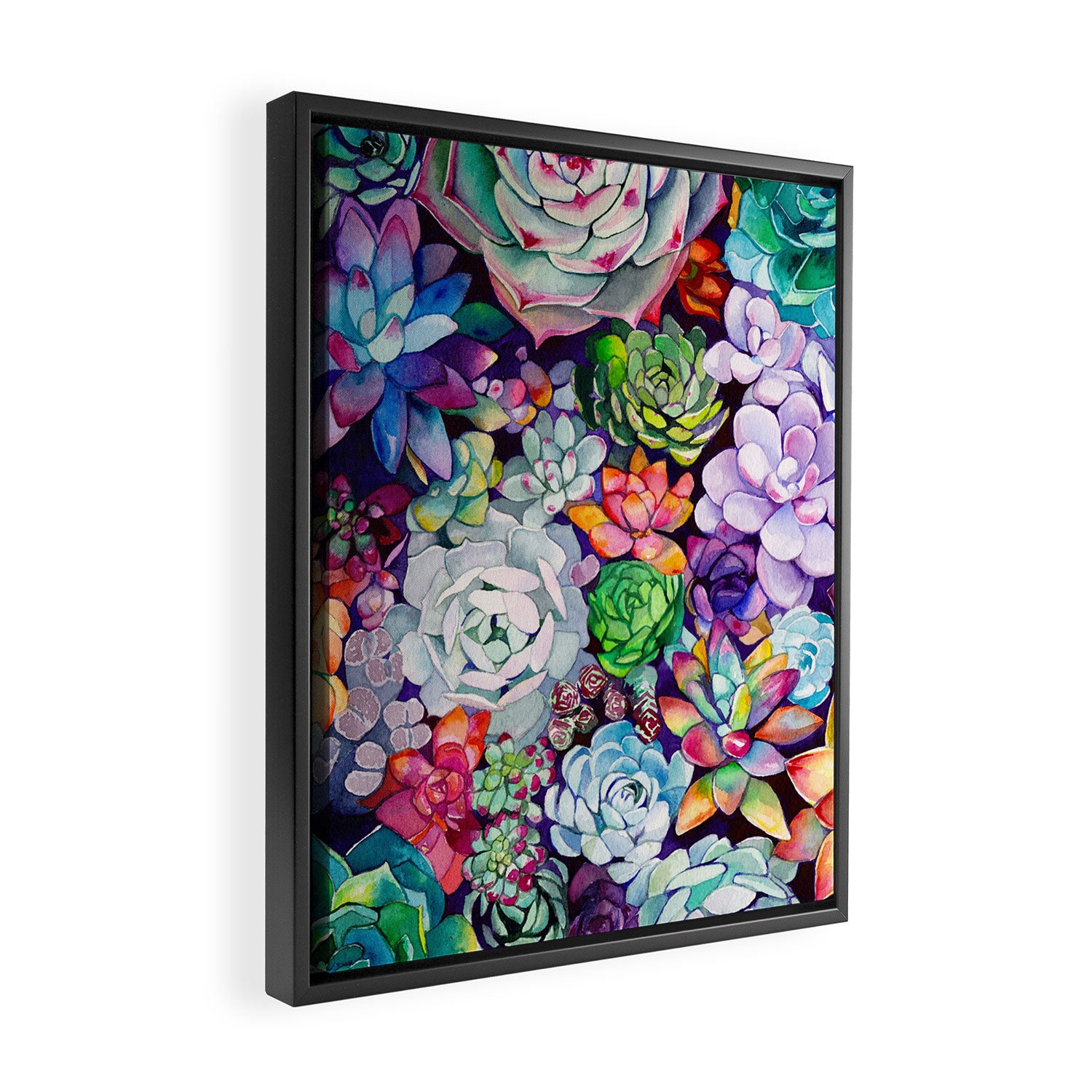 Succulent Garden Framed Canvas Print Gallery Image 2