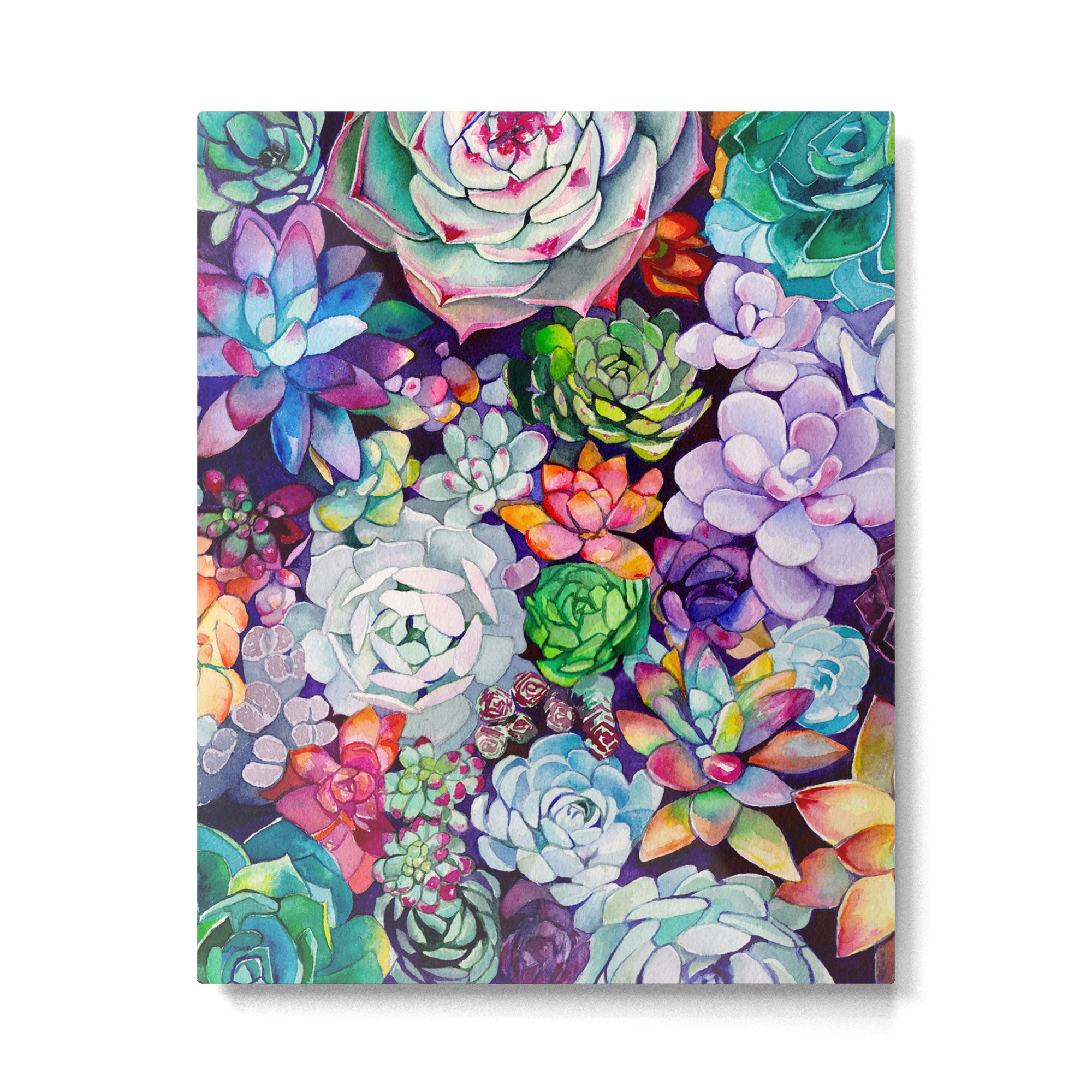Succulent Garden Metal Print Gallery Image 6