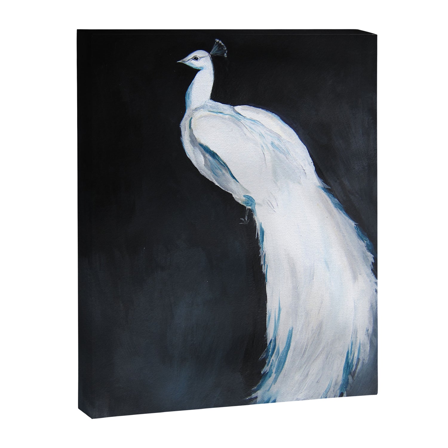 White Peacock II Canvas Print Gallery Image 6