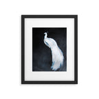 White Peacock II Framed Art Print Gallery Image 5