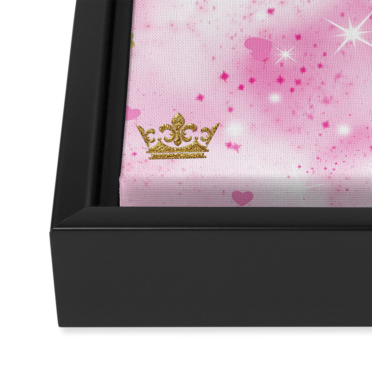 Pink Princess Framed Canvas Print Gallery Image 3