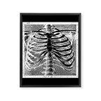 Vintage Skeleton Torso Framed Canvas Print Gallery Image 8