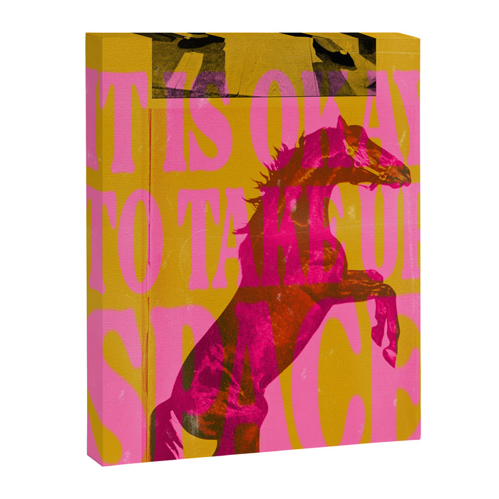 Take Up Space Canvas Print Gallery Image 1