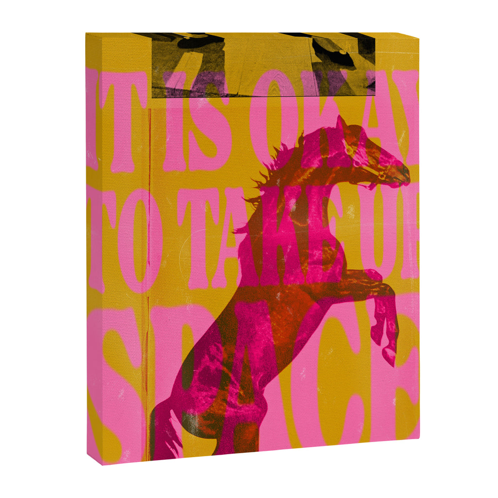 Take Up Space Canvas Print Gallery Image 6