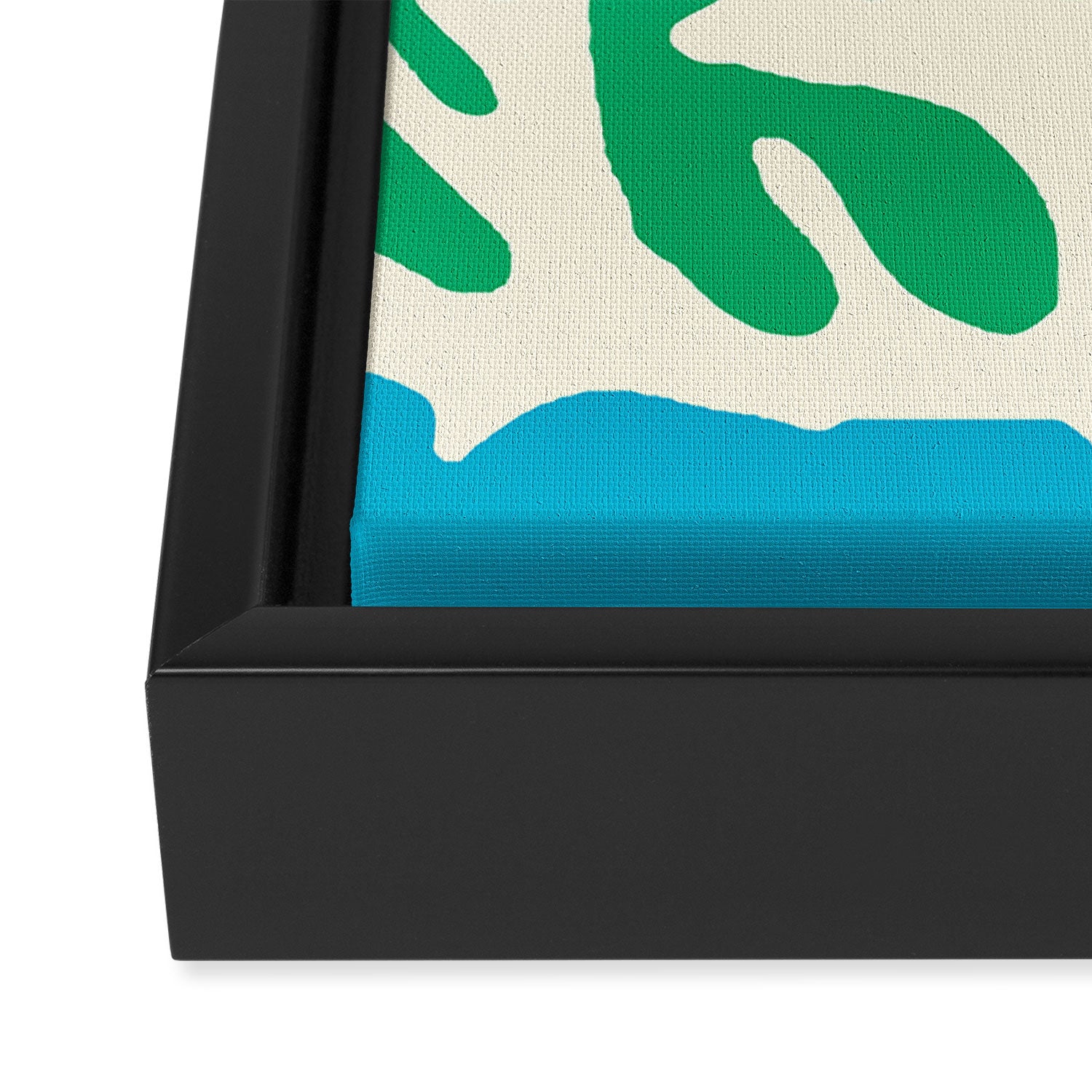 Coral Framed Canvas Print Gallery Image 2