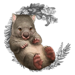 cittys1001kreationen