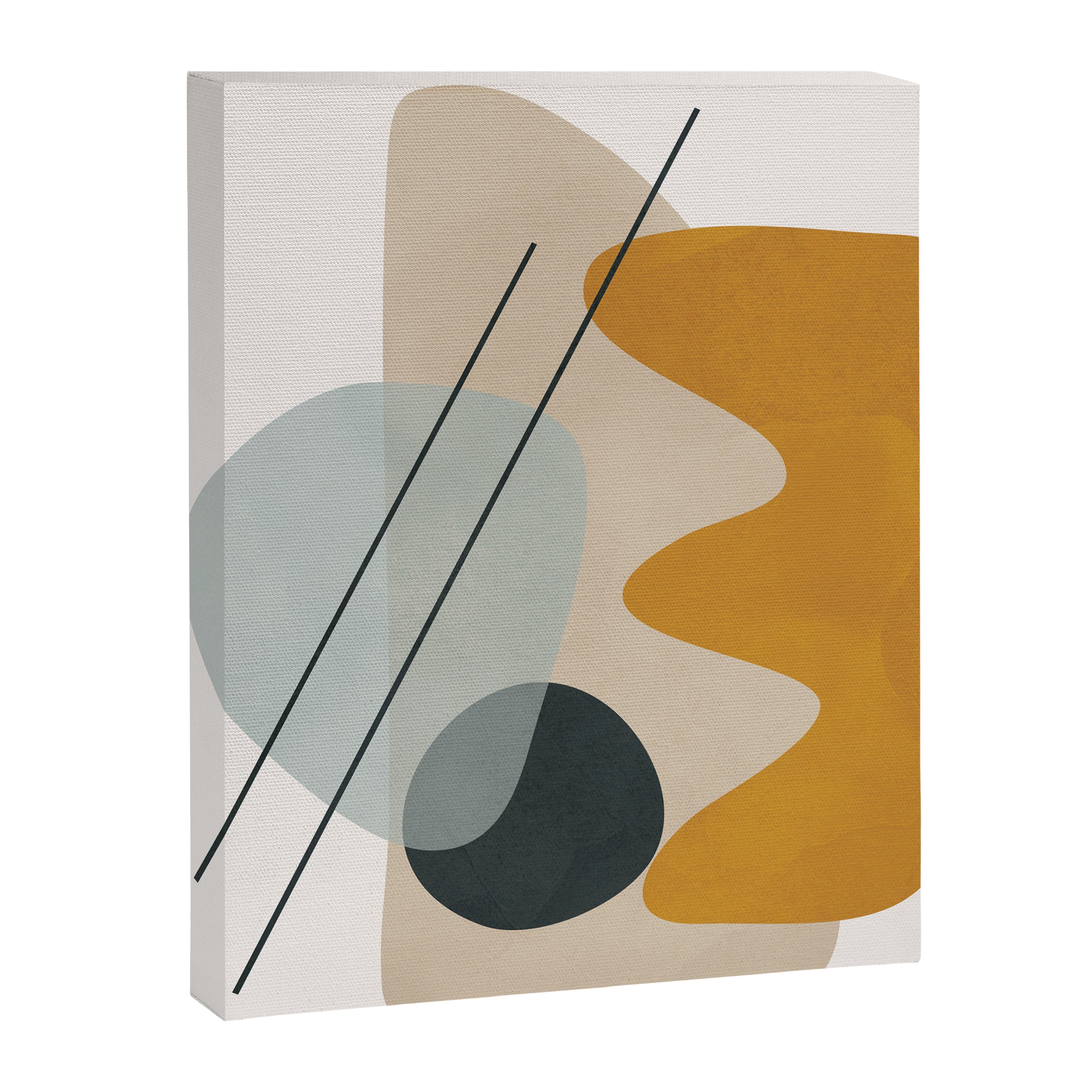 Abstract Shapes No27 Canvas Print Gallery Image 6