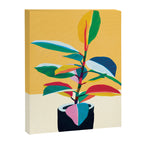 Colorful Ficus 4 Canvas Print Gallery Image 6