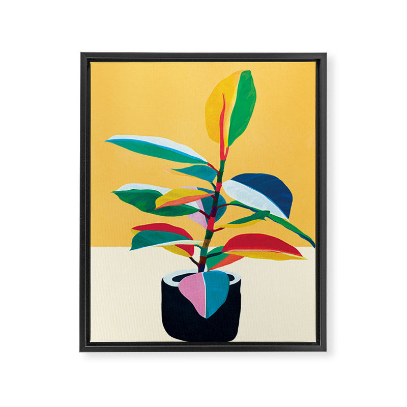 Colorful Ficus 4 Framed Canvas Print Gallery Image 6