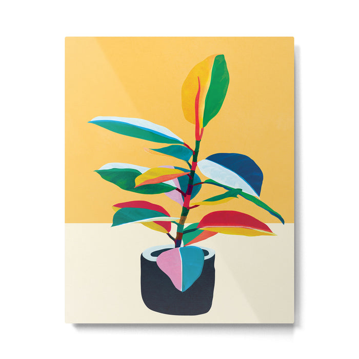 Colorful Ficus 4 Metal Print Gallery Image 1