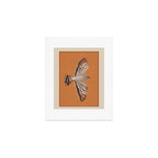 Hawk in Still Flight Art Print Gallery Image 1