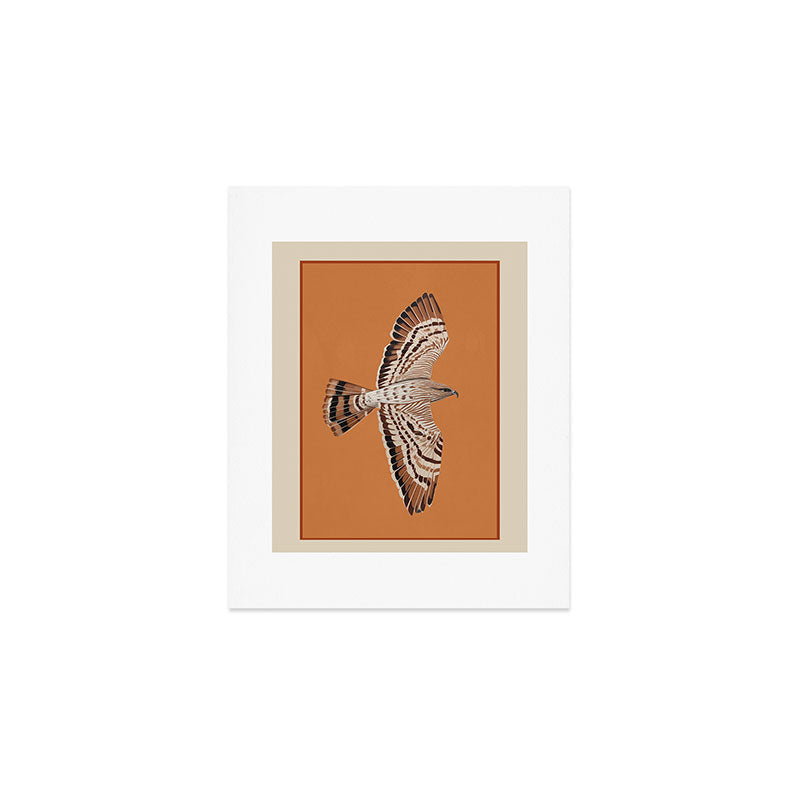 Hawk in Still Flight Art Print Gallery Image 1