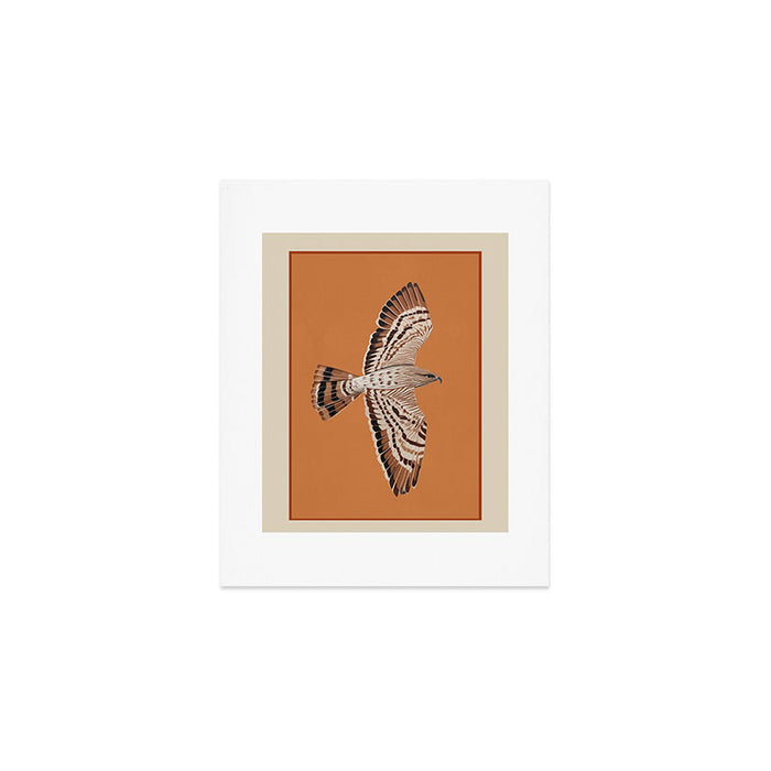 Hawk in Still Flight Art Print Gallery Image 1
